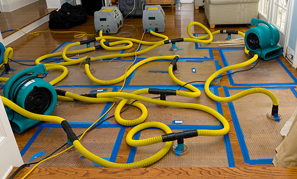 Professional Water Extraction technician working in Buckingham, FL